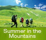 summer in the mountains alps
