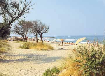 RESORT : LIDO DI DANTE