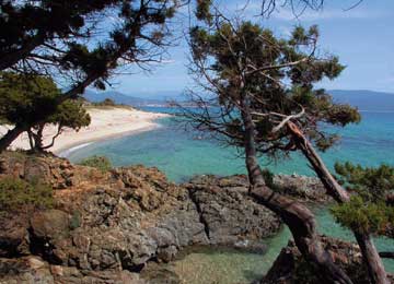 RESORT : OLMETO