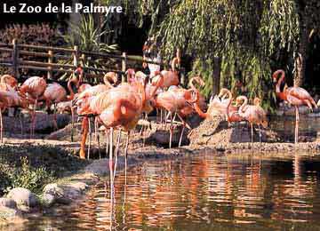 RESORT : Royan - la Palmyre