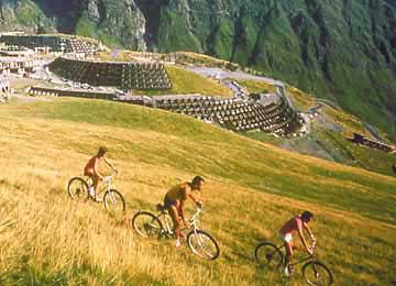 : PIAU-ENGALY