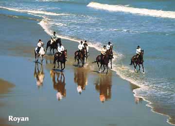 RESORT : Royan - Pontaillac
