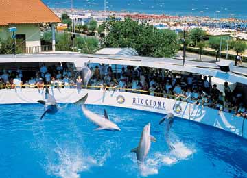 RESORT : RICCIONE