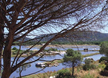 RESORT : Porto Vecchio