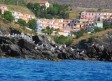 Le Village des Aloes