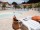 ANGLET : Residence la Croisiere
