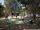 CASTELLARE-DI-CASINCA : Camping le Domaine d'Anghione