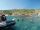 CERBERE : Le Village des Aloes