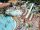 JARD SUR MER : Camping le Curty'S