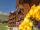 SAINT SORLIN D'ARVES : Les Chalets de l'Arvan I