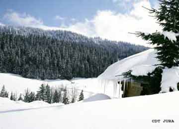 RESORT : Bois d'Amont