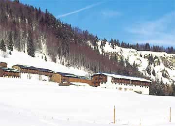  : BOIS D'AMONT