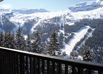  : FLAINE
