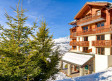 Self-catering - Hire France  Alps - Savoie Peisey Vallandry L'arollaie