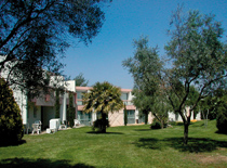 PORT-CAMARGUE - Languedoc