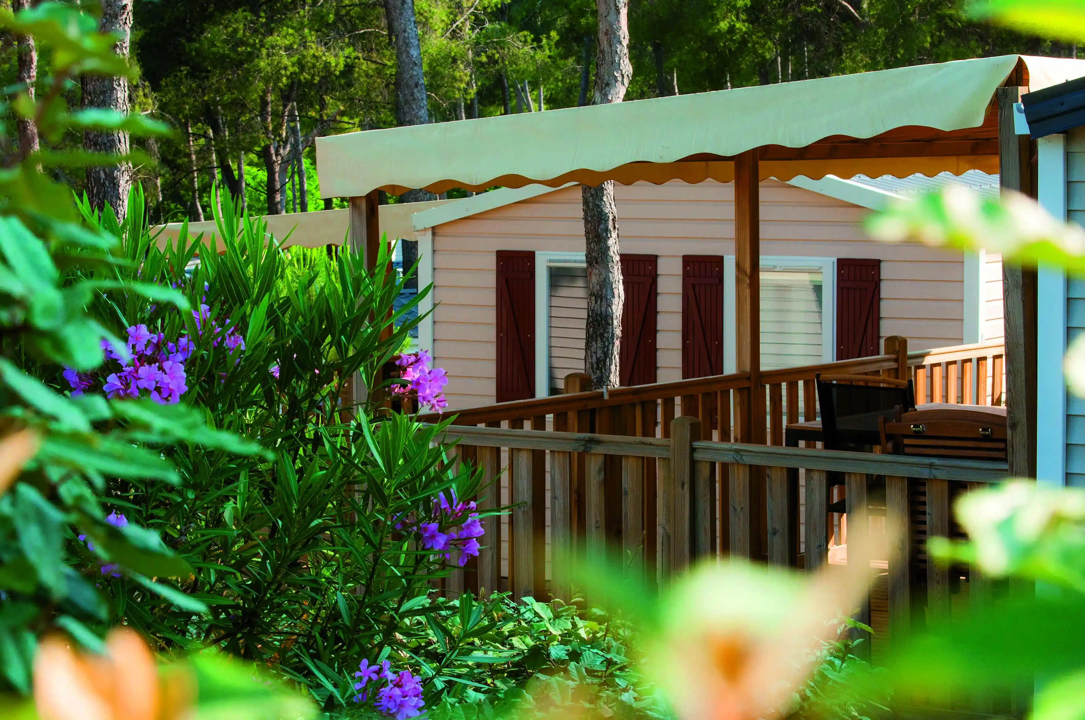 Lagrange Vacances&reg;  - Saint-Cyr-sur-Mer - CAMPING LES DAUPHINS
