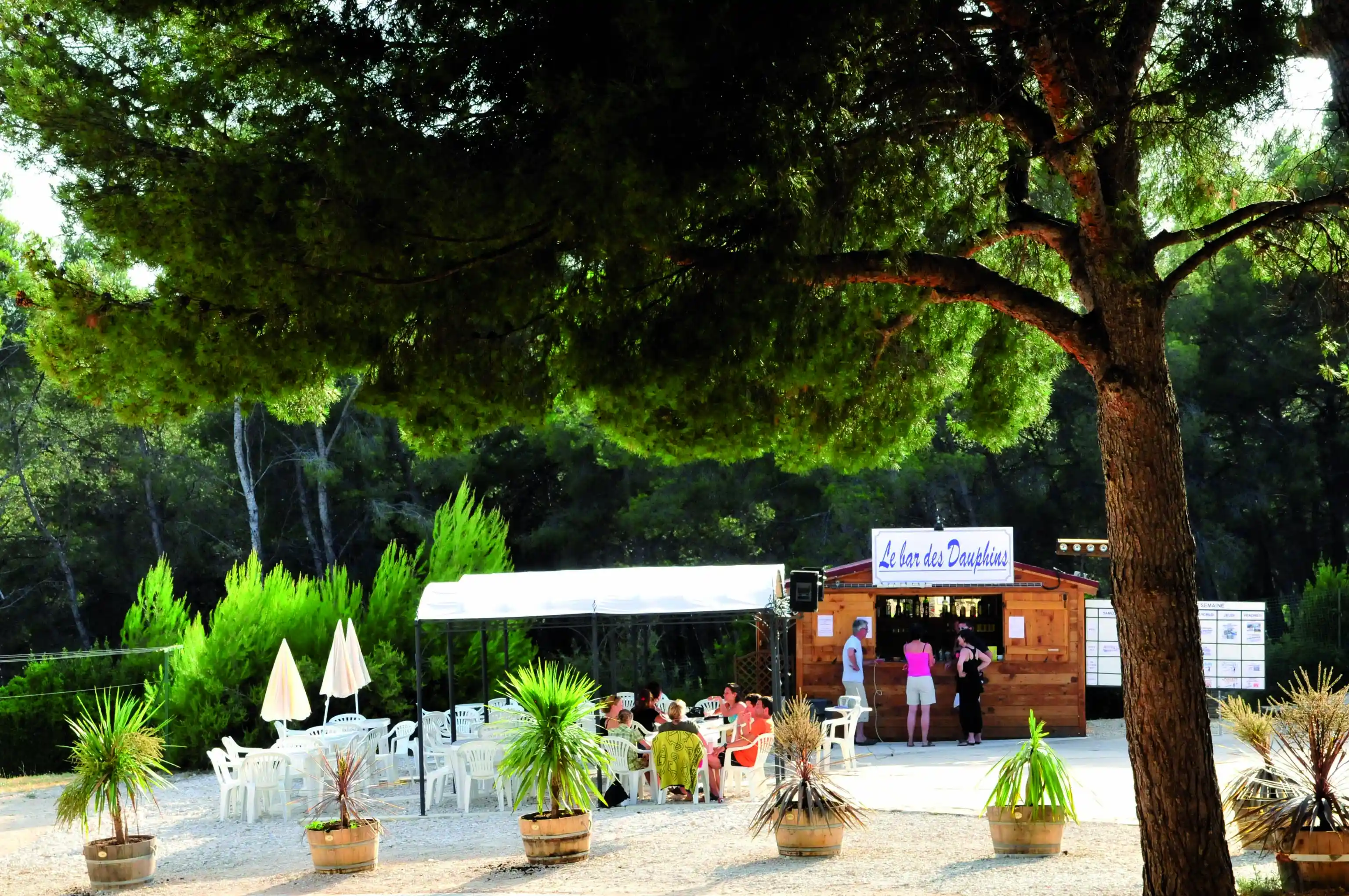 Lagrange Vacances&reg;  - Saint-Cyr-sur-Mer - CAMPING LES DAUPHINS