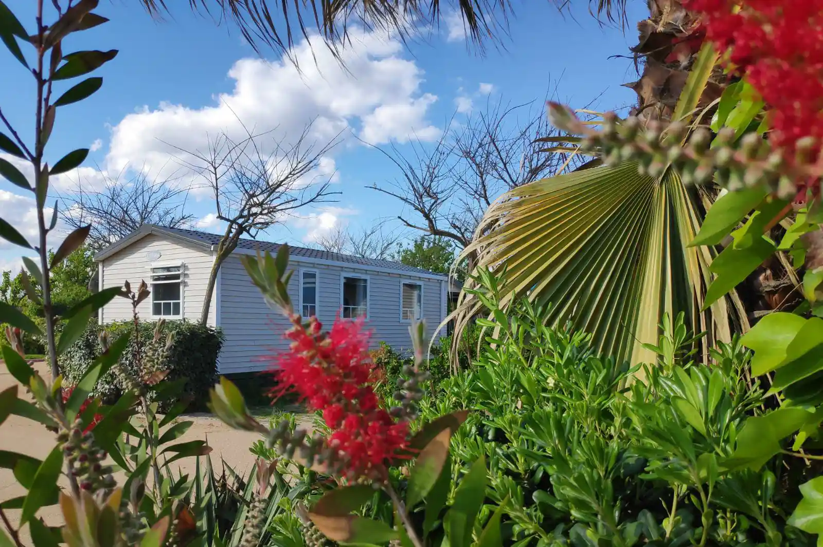 Lagrange Vacances&reg;  - Malgrat de Mar - Camping Resort Els Pins