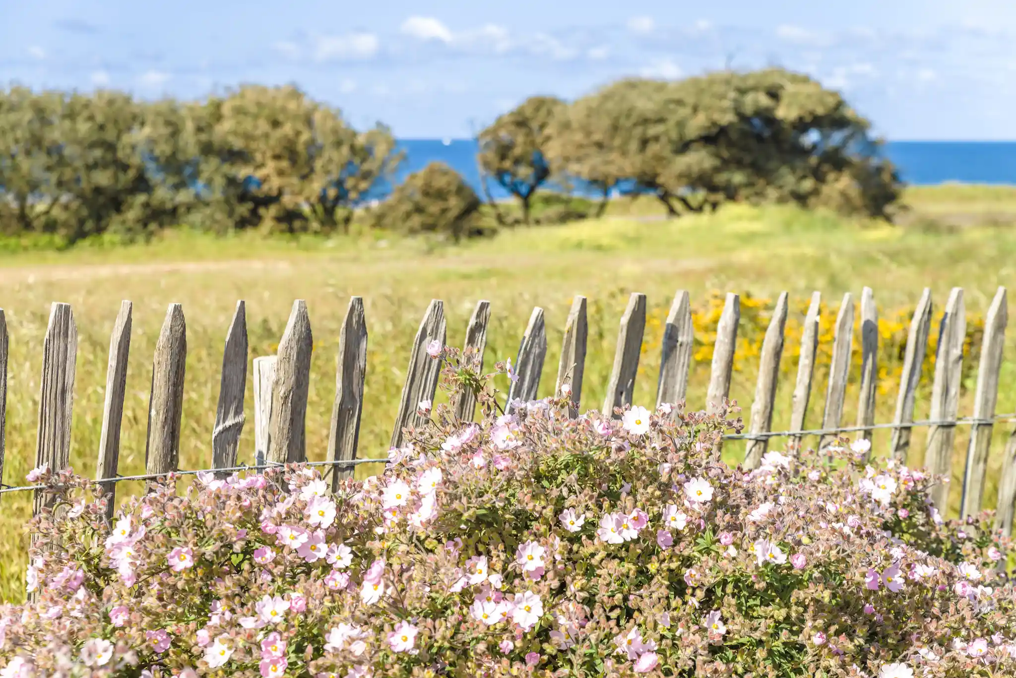 Lagrange Vacances&reg;  - Olonne / les Sables d'olonne - L'estran