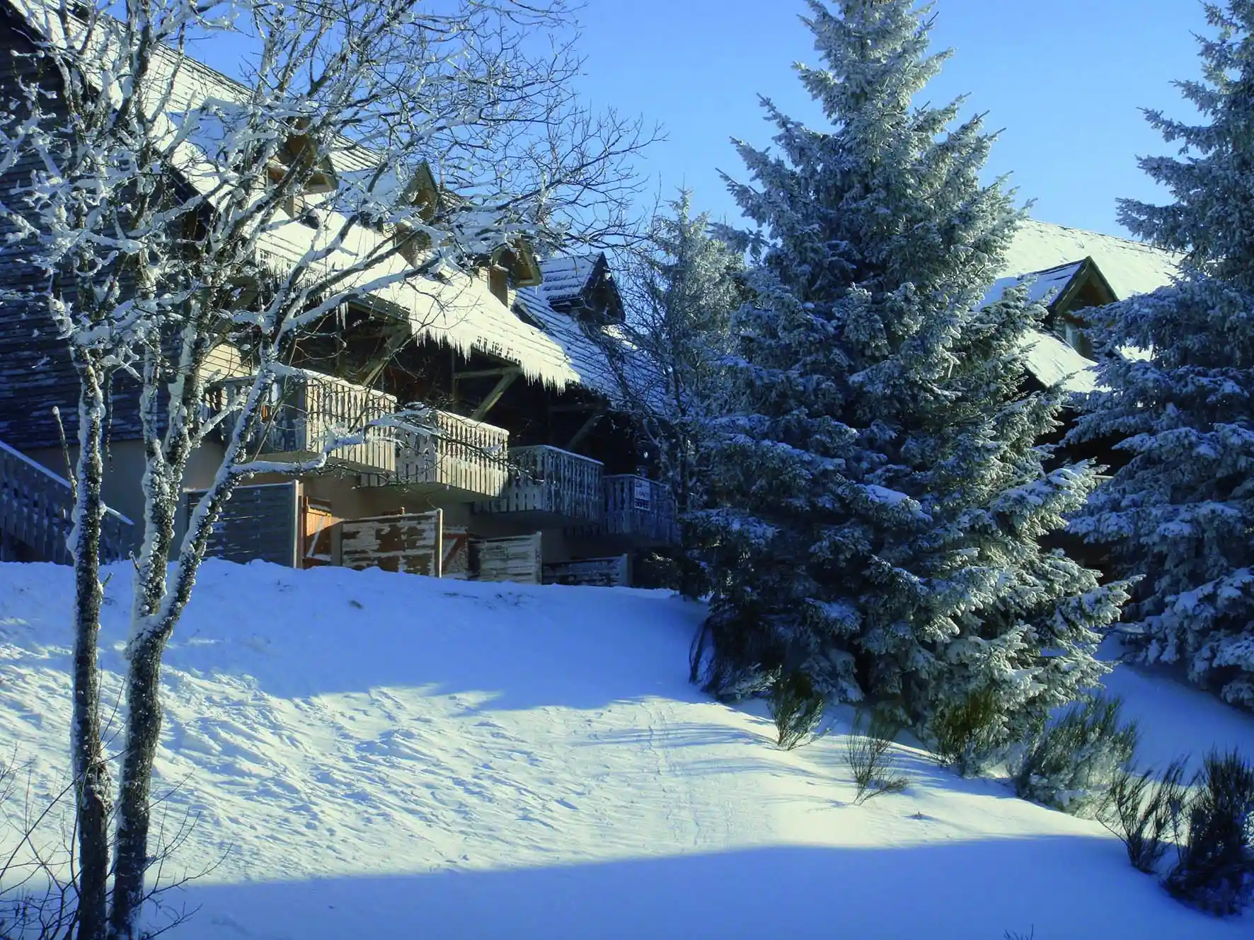 Lagrange Vacances&reg;  - Super-Besse - Le Bois de la Reine