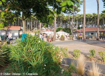 Lagrange Vacances Camping Le Vivier Biscarrosse Plage