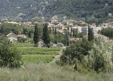 RESORT : Baux de Provence / le Paradou