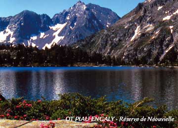 RESORT : Piau-Engaly