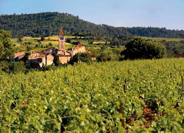 RESORT : Saint-Laurent-du-Verdon