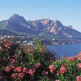 Book self-catering holiday france country : 