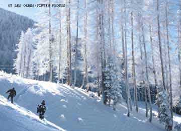 RESORT : les Orres